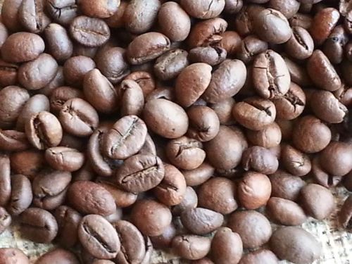Roasted Coffee Beans, Packaging Type : Brown