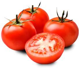 Fresh Tomato