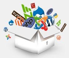 Web Development Services