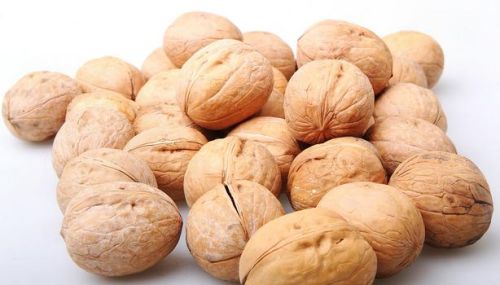 First Grade and High Quality Walnut In Shell