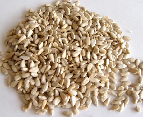 White Raw New Crop Sunflower Seeds