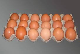 Fresh Chicken Eggs