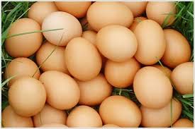 Poultry Fresh Eggs