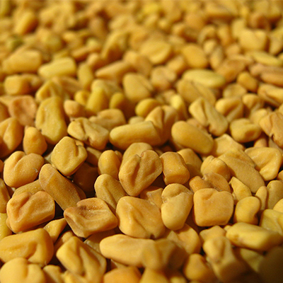 Fenugreek Seeds