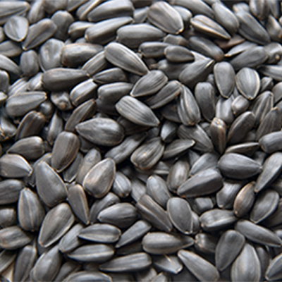 Sunflower Seeds