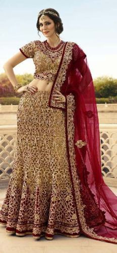 Captivate Cut Work Net Kasab A - Line Lehenga Choli