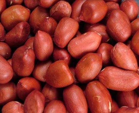 Dark Red Peanut Kernels