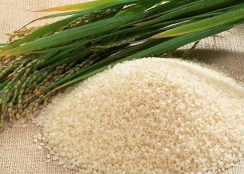 Refined Rice Bran Oil