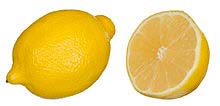 Fresh Lemon