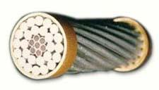 ACSR Conductor