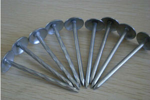 Big Head Clout Nails