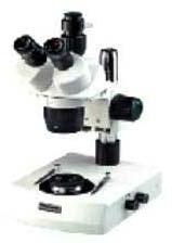 Stereo Microscopes