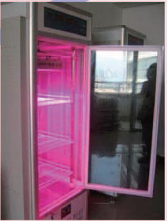 QT-LED1218 Plant Fill Light Lamp