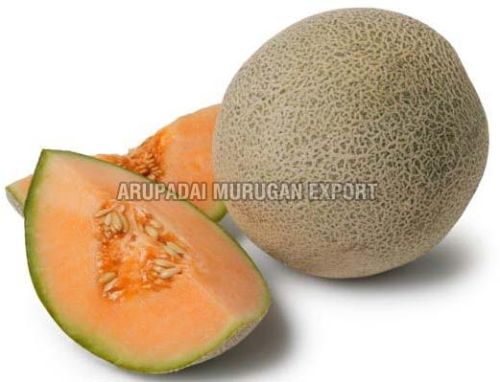 Fresh Cantaloupes