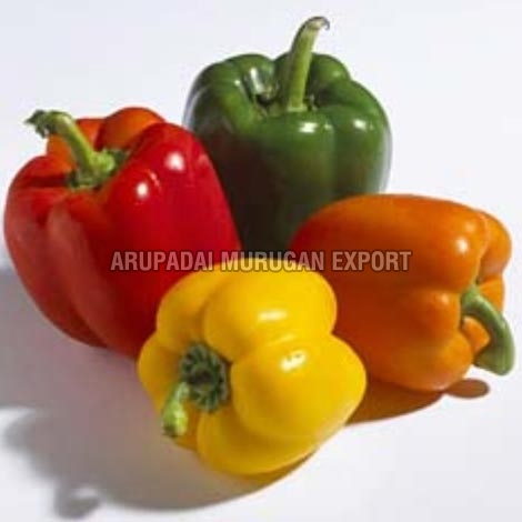 Fresh Capsicum, Quality : A Grade