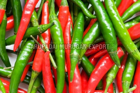 Fresh Chilli