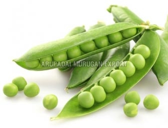 Fresh Green Peas, Country of Origin : India