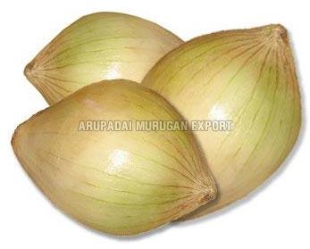 Fresh Sweet Onion