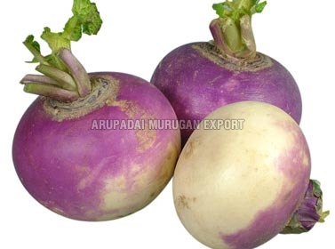 Fresh Turnip